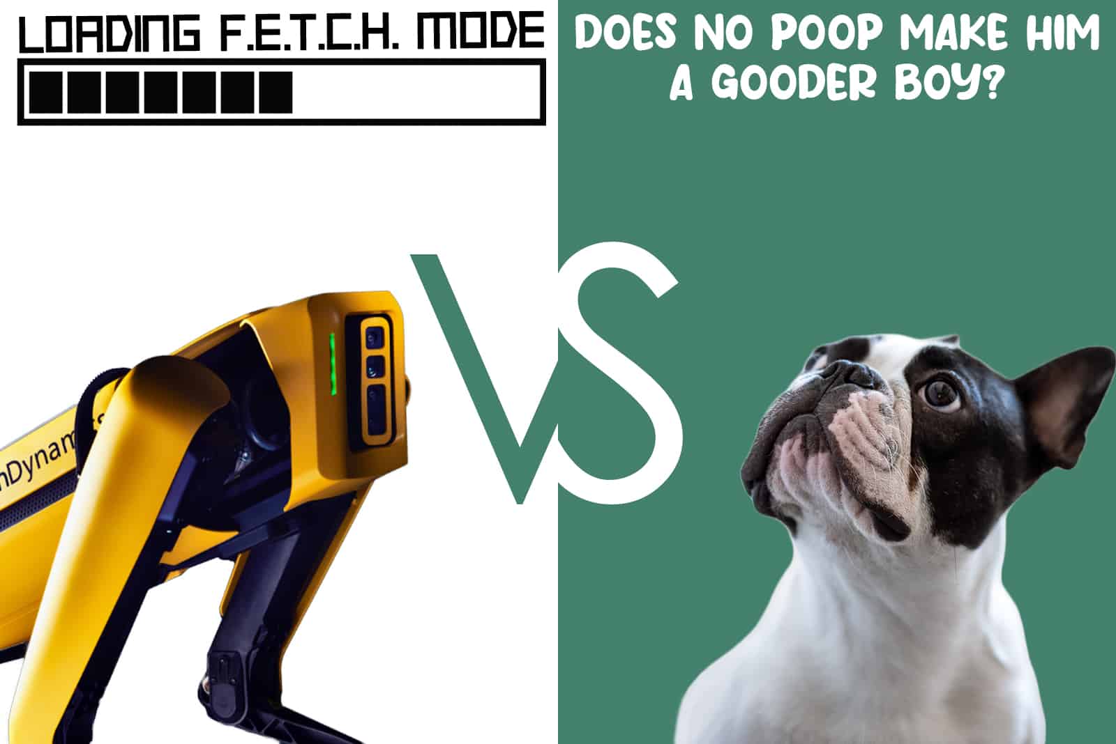 Robot Dog VS Real Dog – Six Challenges, One True Champion