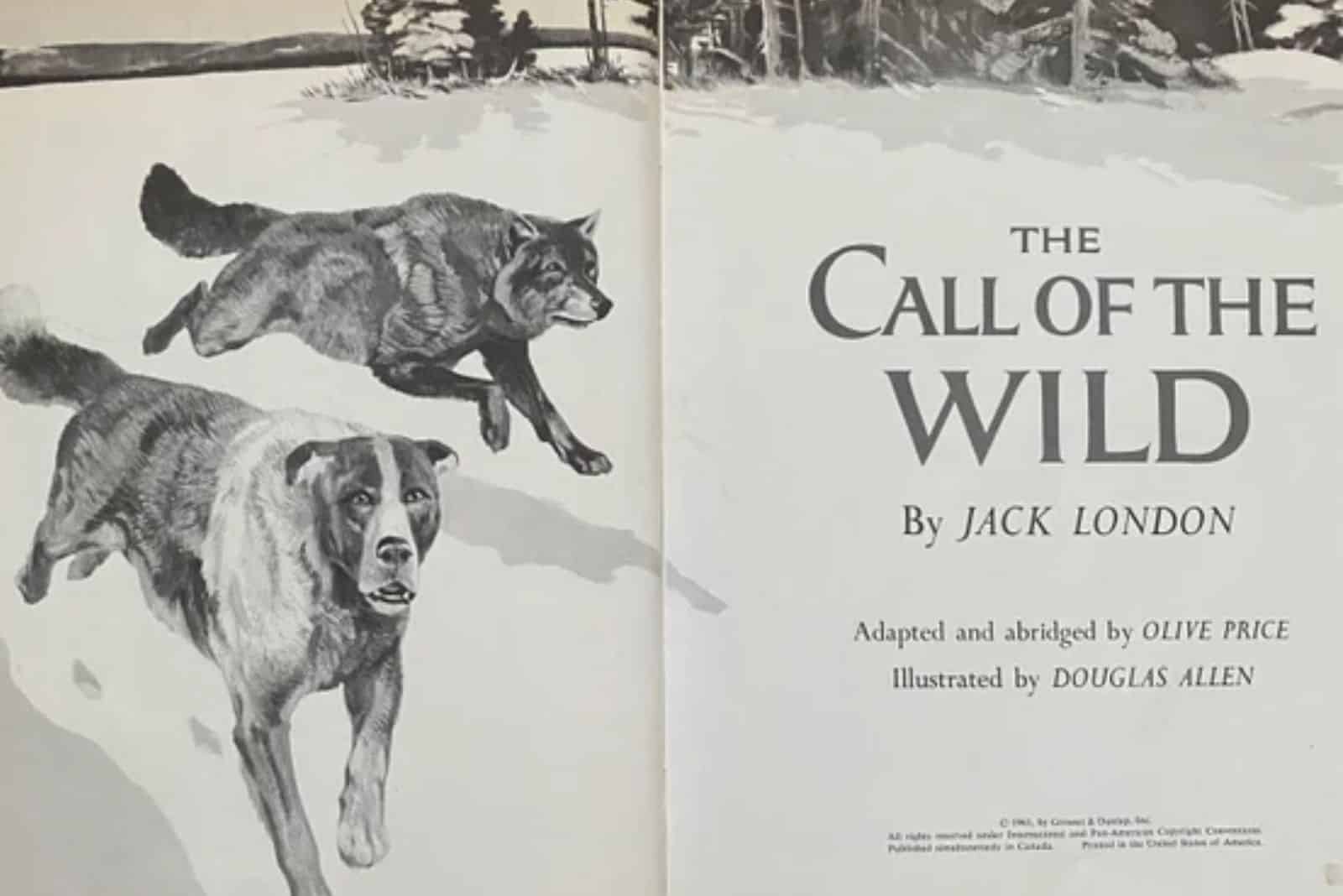 The Call Of The Wild book
