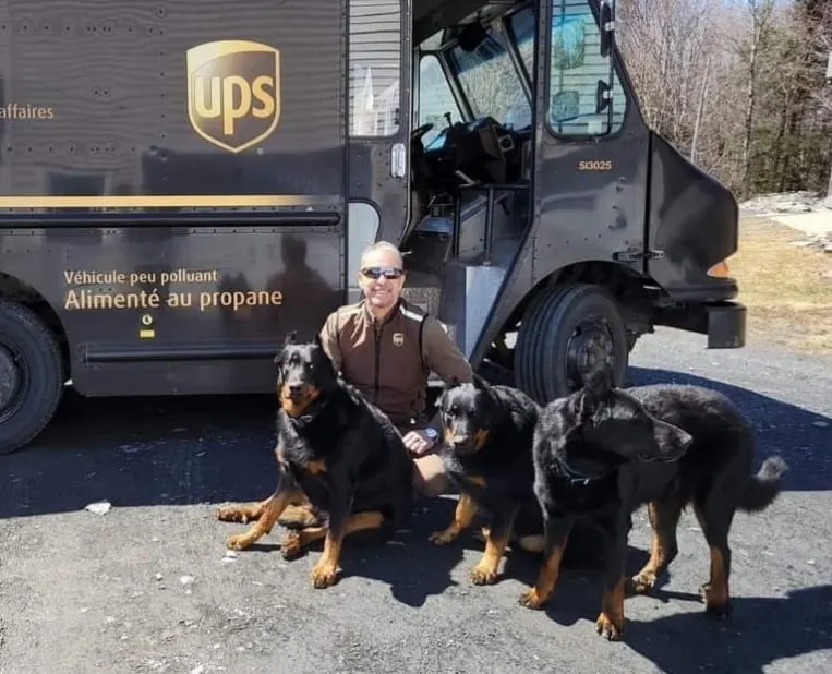 UPS delivery man with dogs