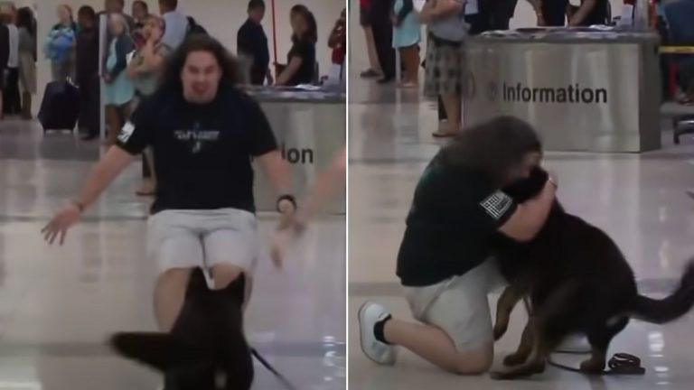 man reuniting with his dog