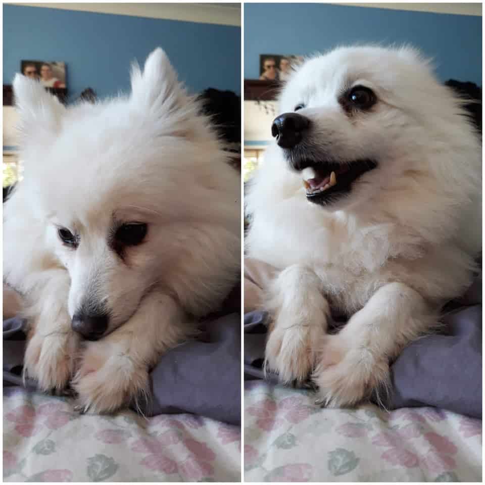Who, Meeee
