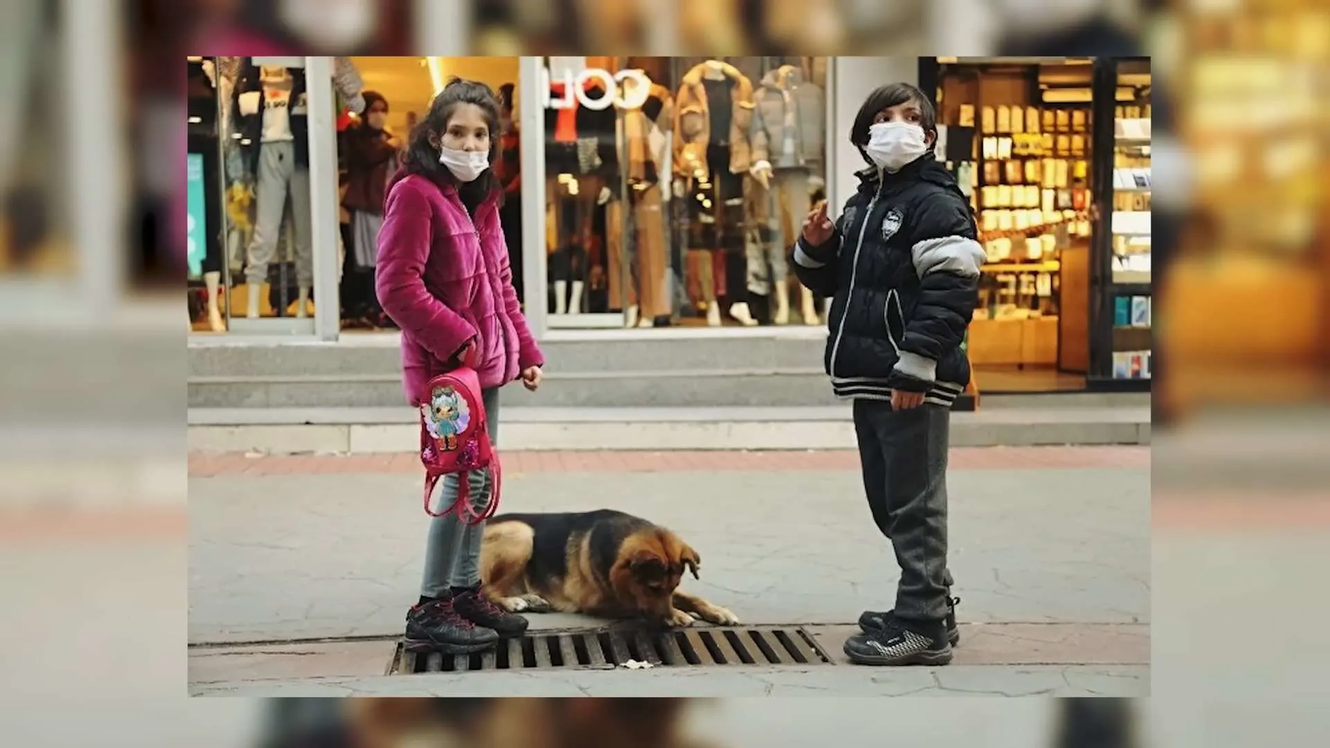 a dog looking into a drain and two children on the street