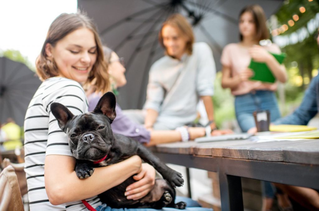 a girl holding dog in her hands while studying with friends outdoors