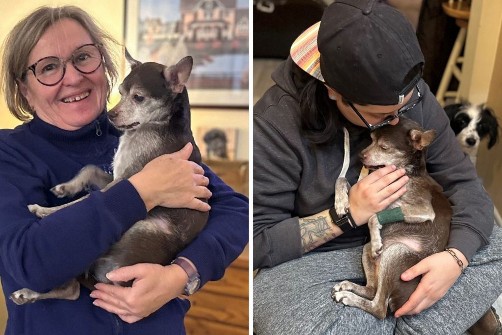 a man and a woman hold a rescued dog