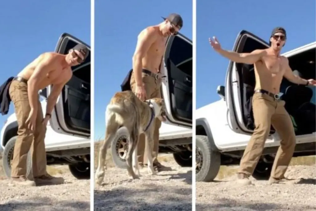 a man rescues a dog