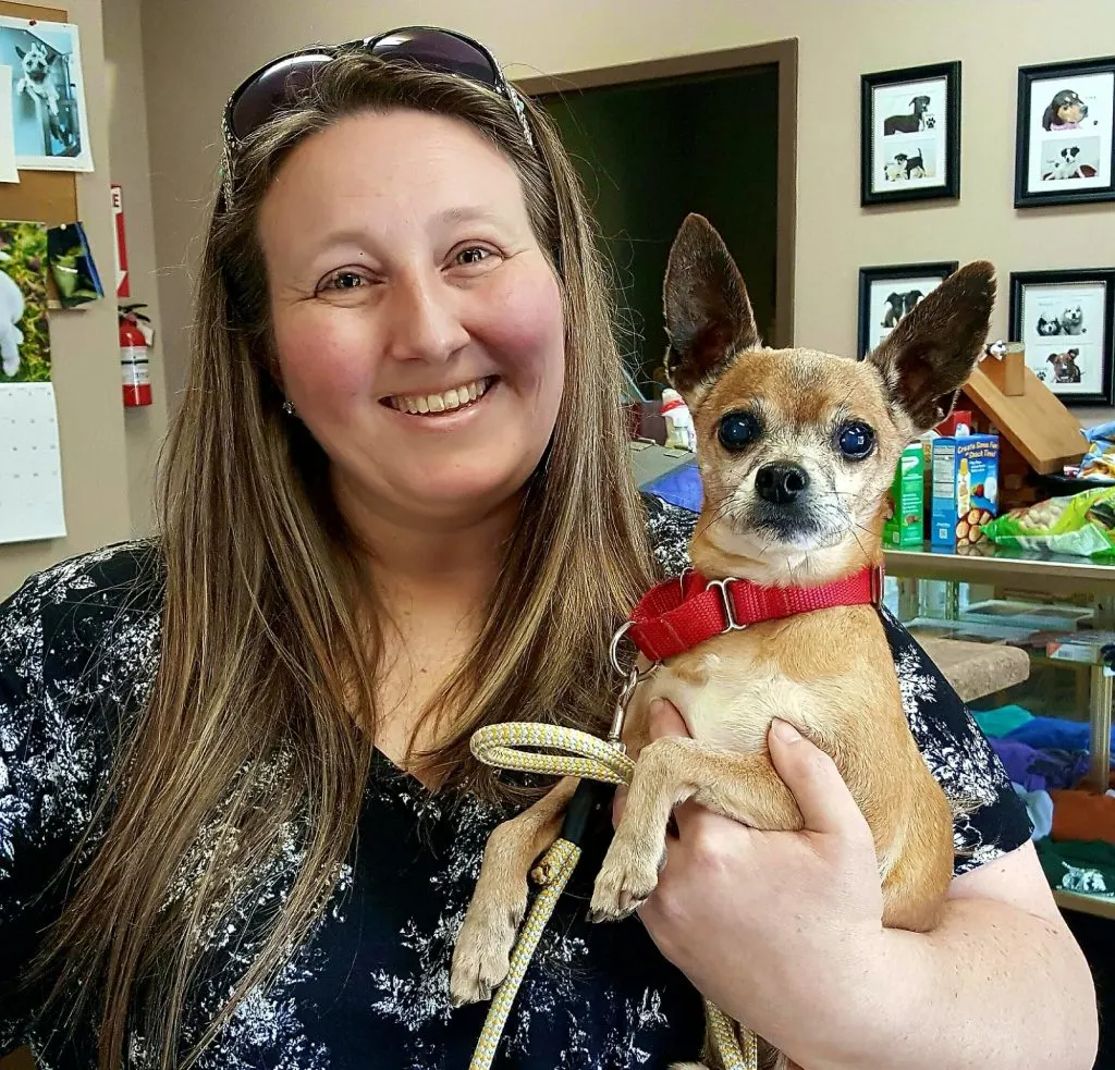 a smiling girl holds a chihuahua in her arms