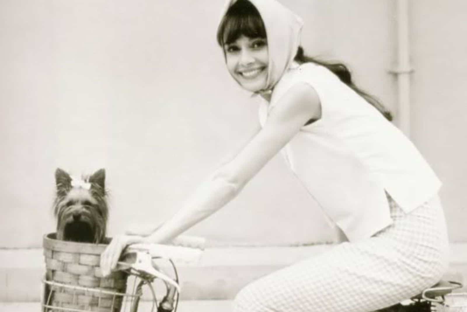 actress Audrey Hepburn and yorkshire terrier