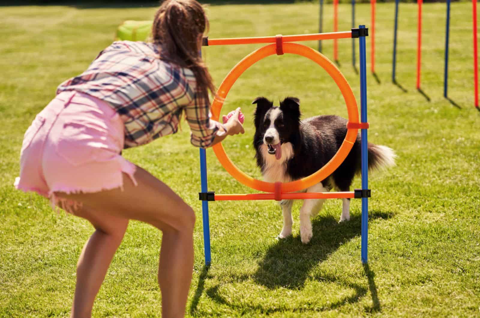 border collie dog and a woman on an agility field