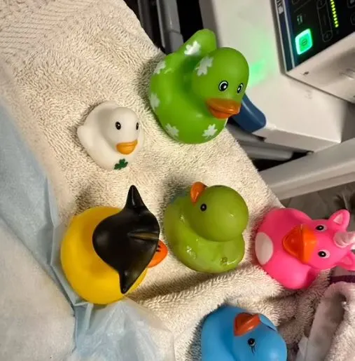 colorful toys