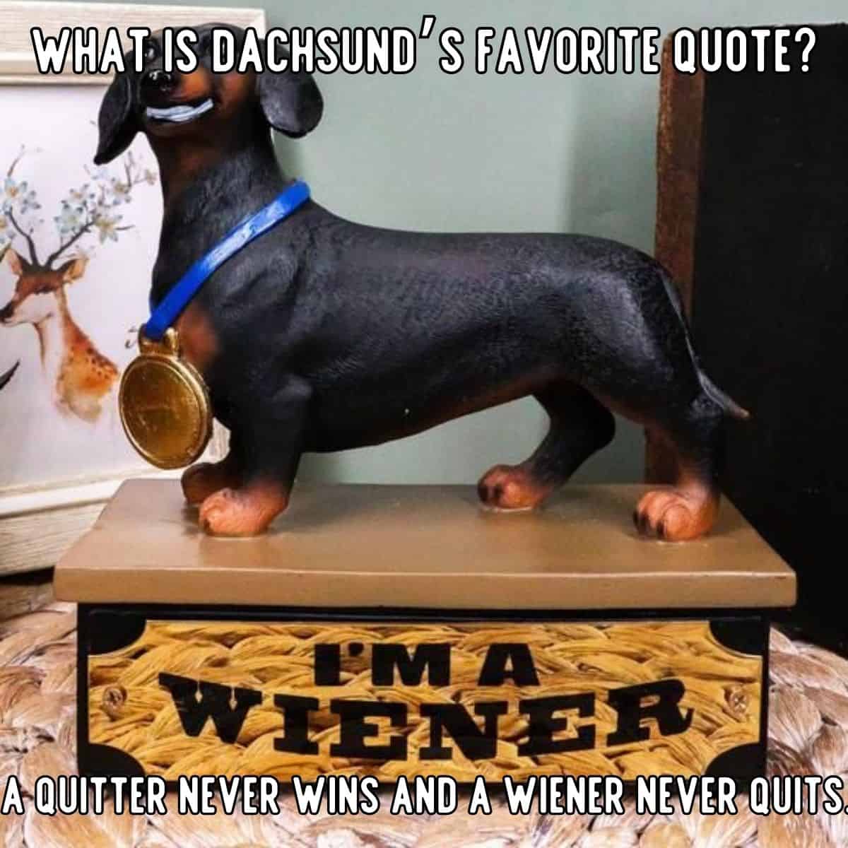 dachshund’s favorite quote joke