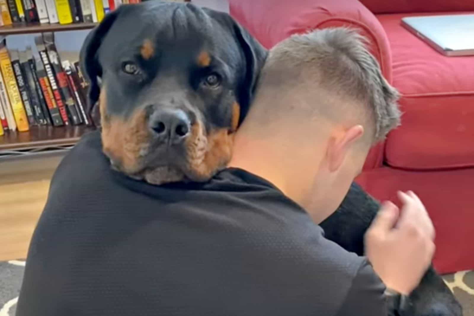 An Amazing Bond Between A Man And His Rottie Will Absolutely Make Your Day