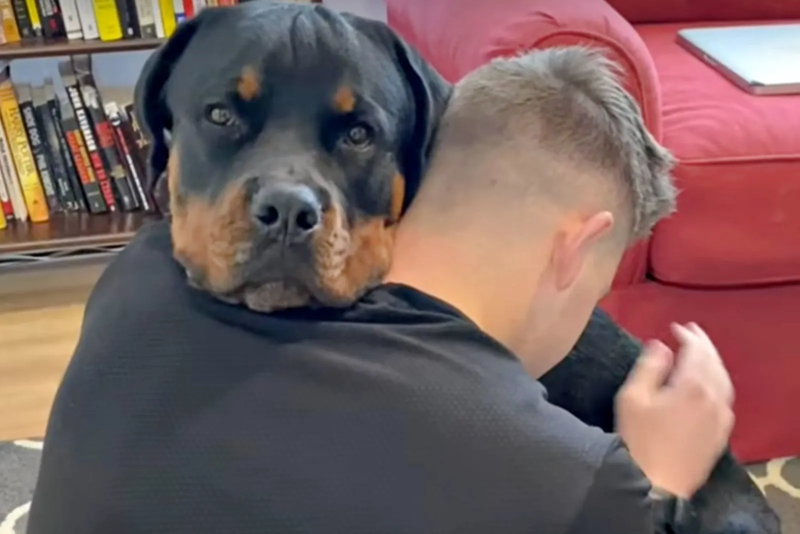 dog hugging his owner