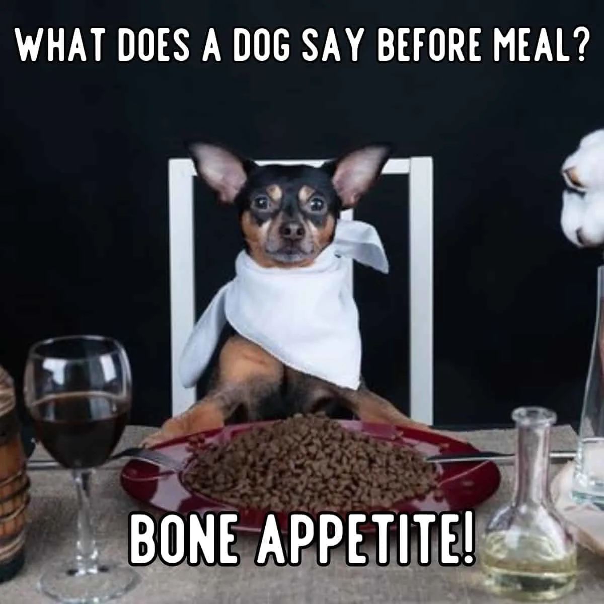 dog joke about meal