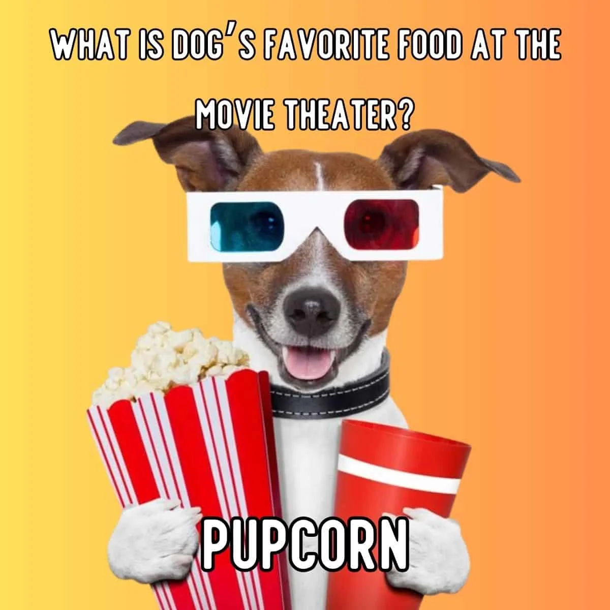 dog’s favorite food joke
