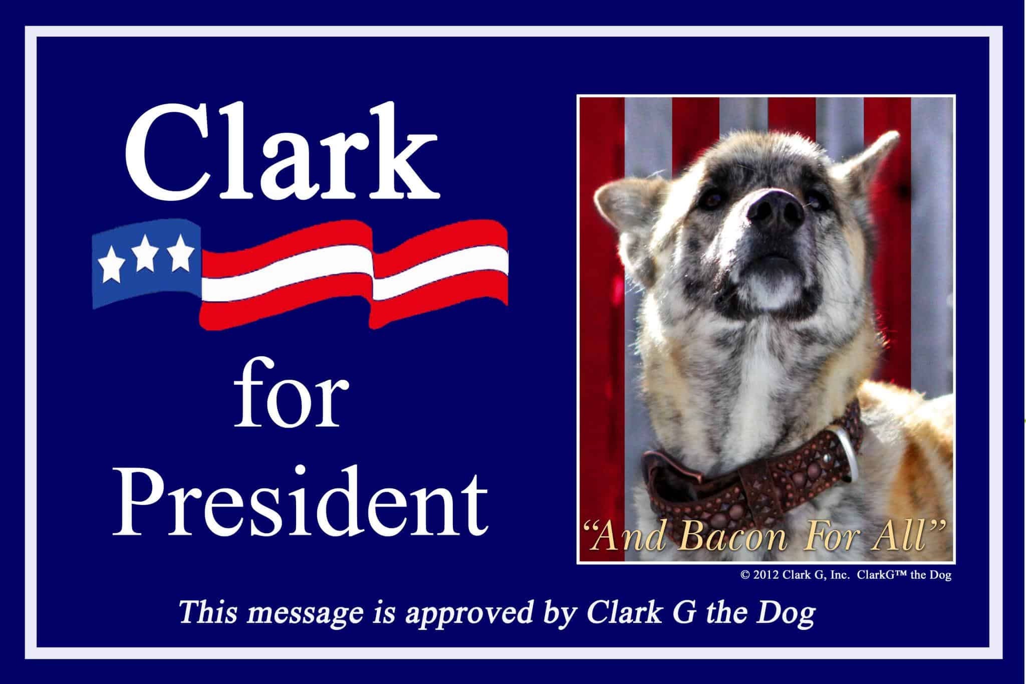 funny photo showing Clark as presidential candidate