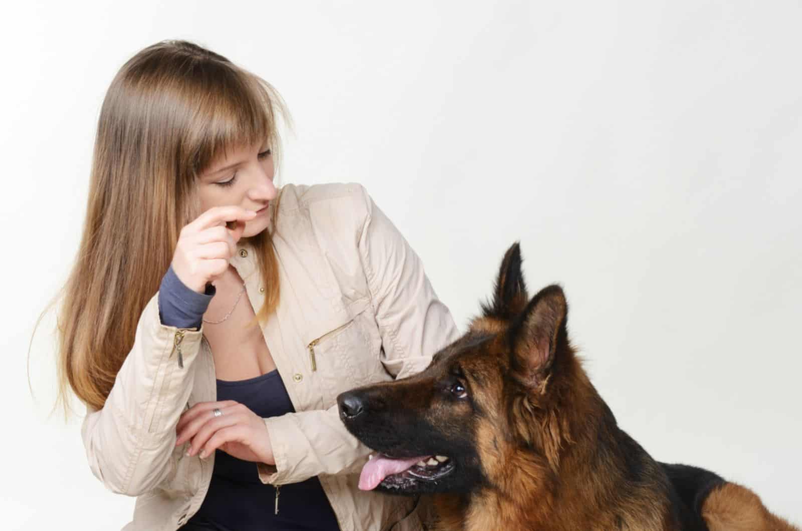 german shepherd leaning on woman's hand and looking at her
