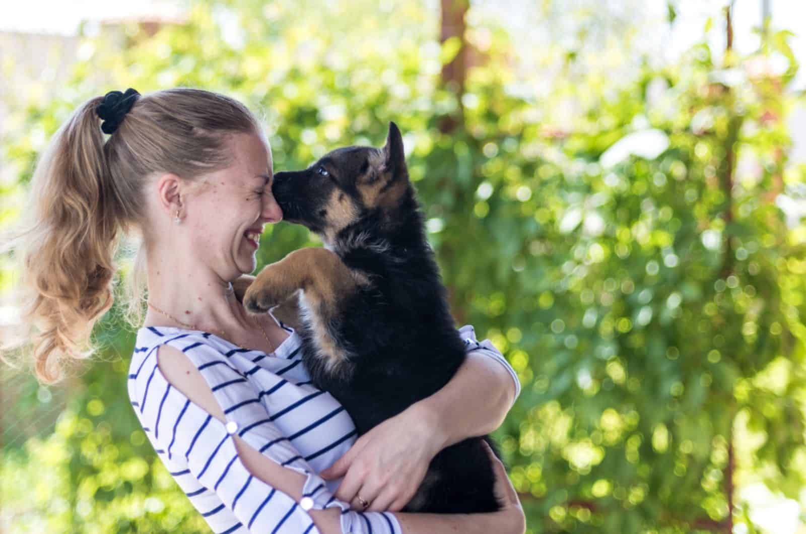 german shepherd puppy sniffing his owner