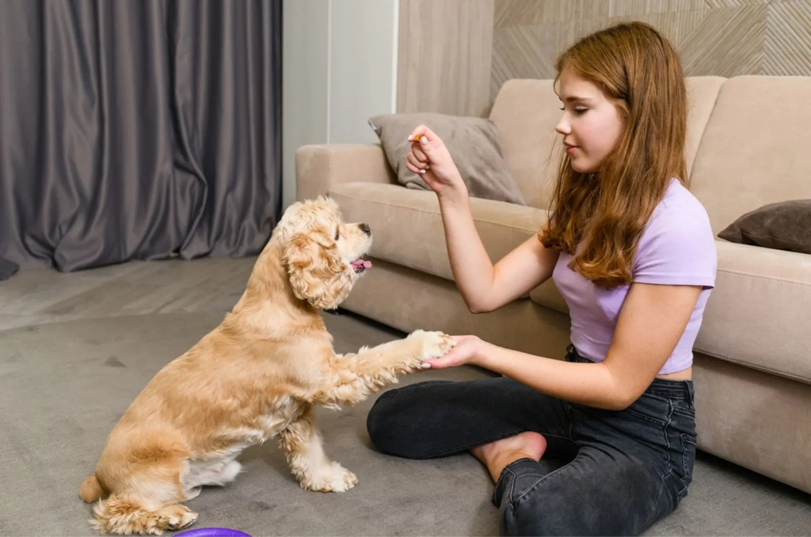 Here's How You Should Start House Training Your New Puppy