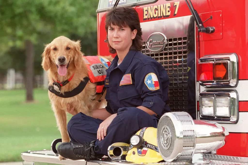 golden retriever with firefighter