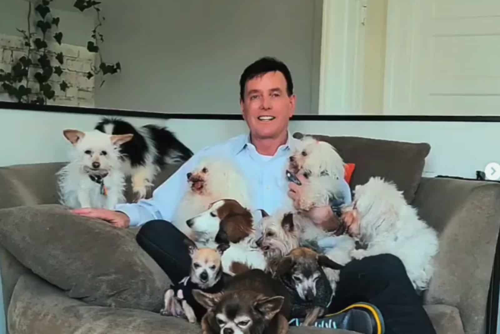happy man with puppies on the couch