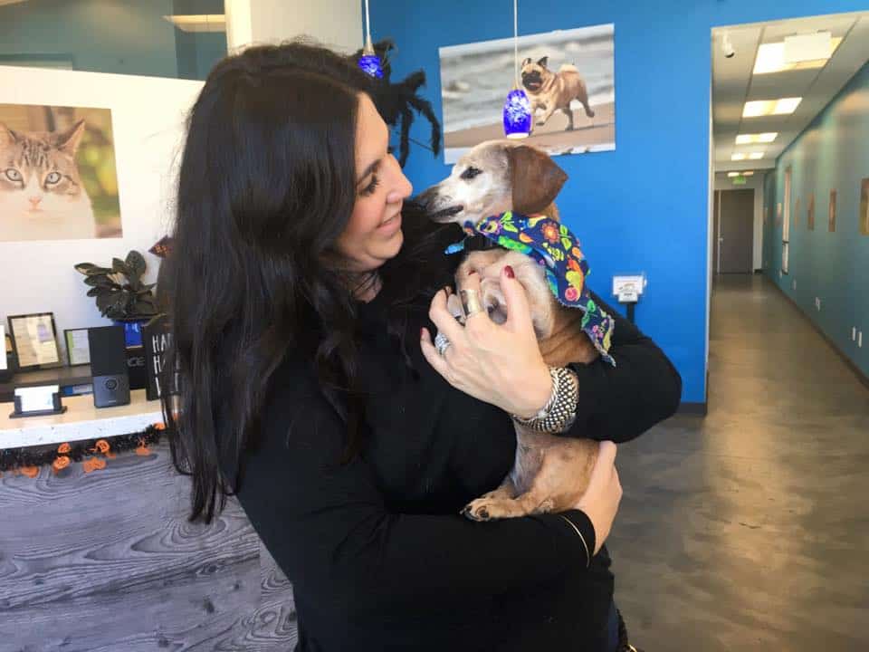 happy woman holding a dog in her arms