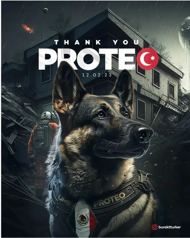 heroic dog german shepherd
