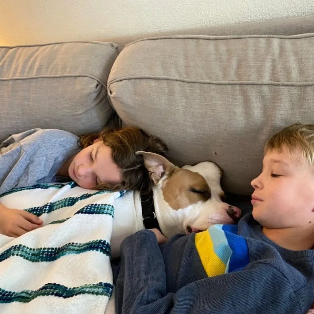 kids snuggle with dog