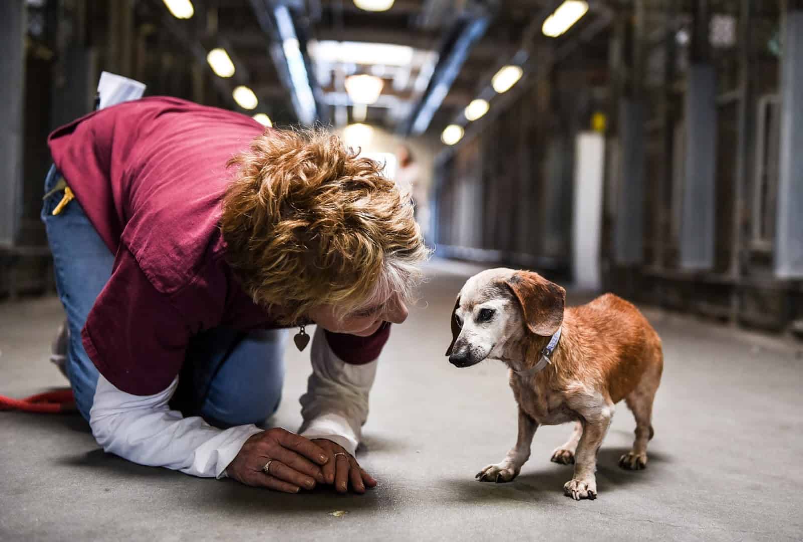 kind woman with abandoned dog