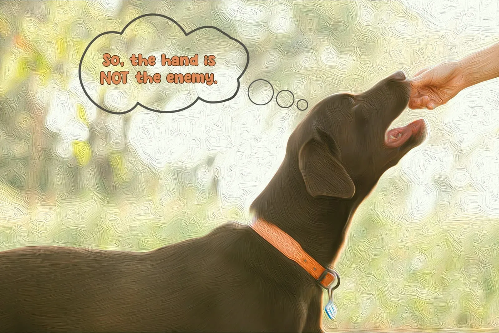 person establishing first physical contact with a dog