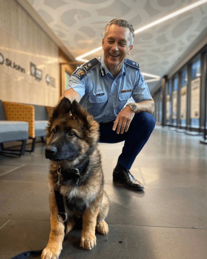 photo of a policeman and german shepherd k9 puppy