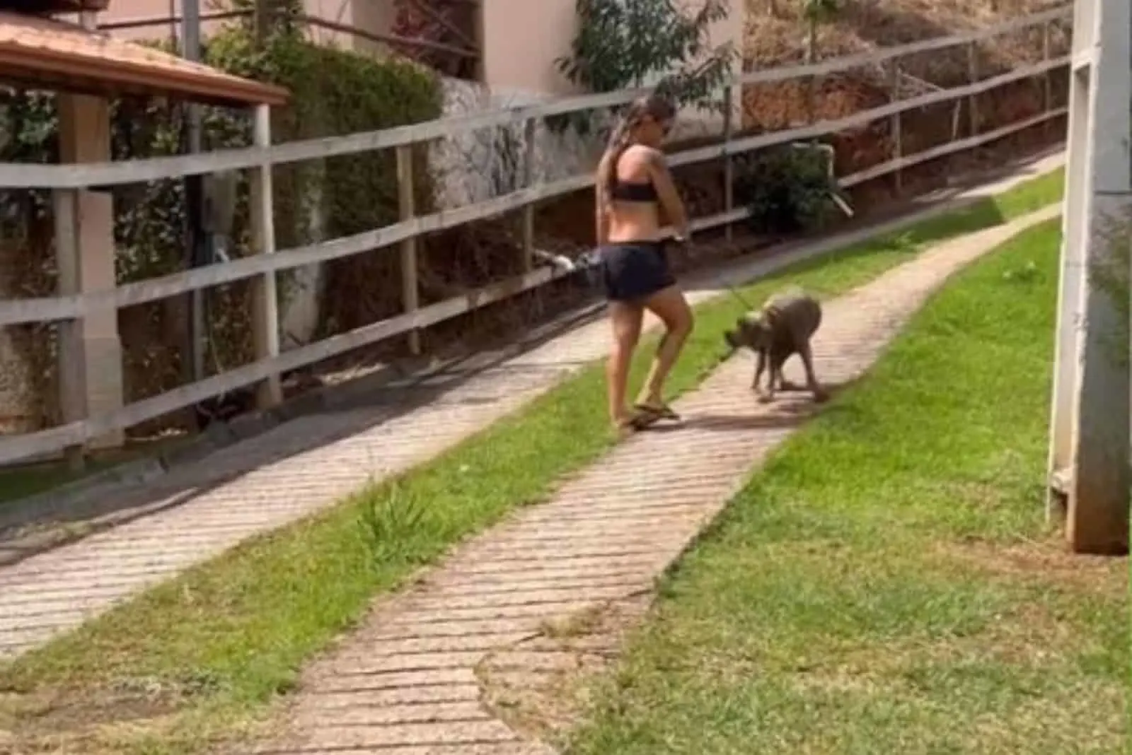 foto de una mujer paseando a Xena la perra abandonada