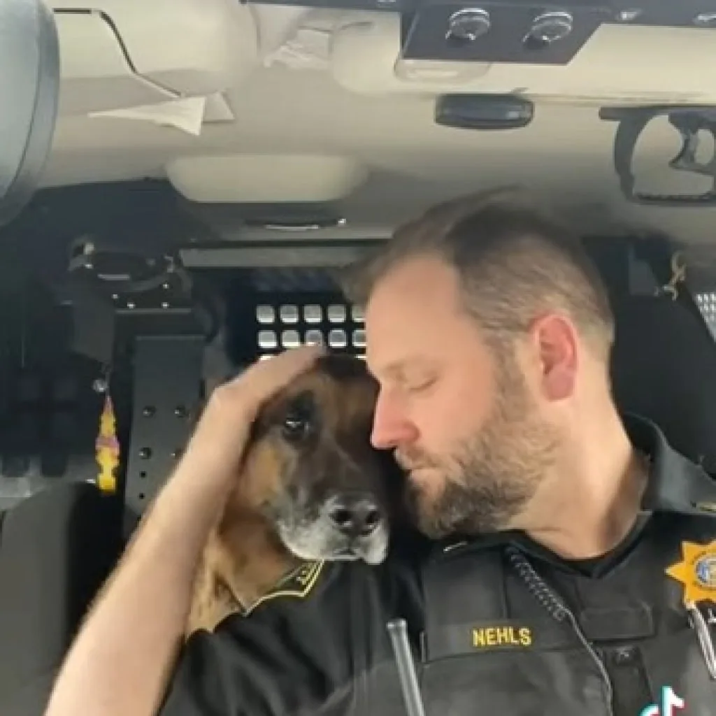 police officer snuggle with german shepherd