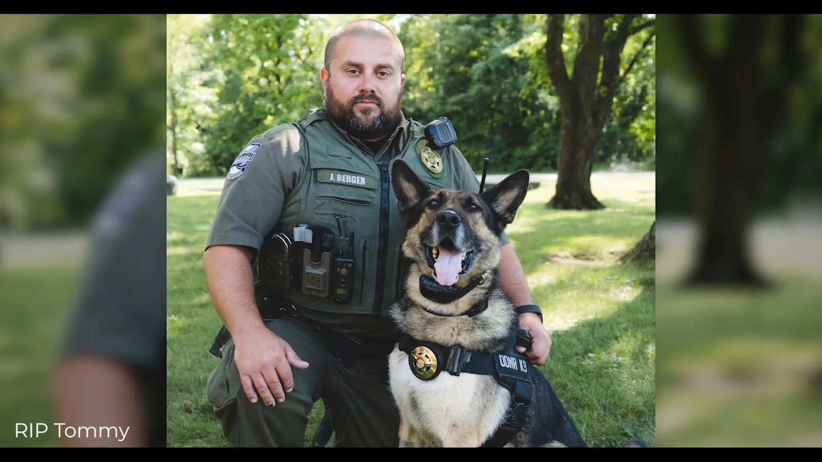 police officer with german shepherd police dog