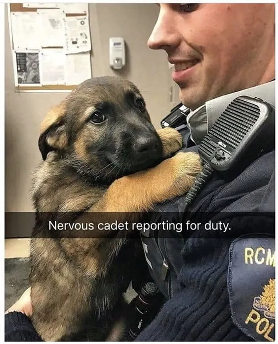 policeman holding a nervous k9 puppy