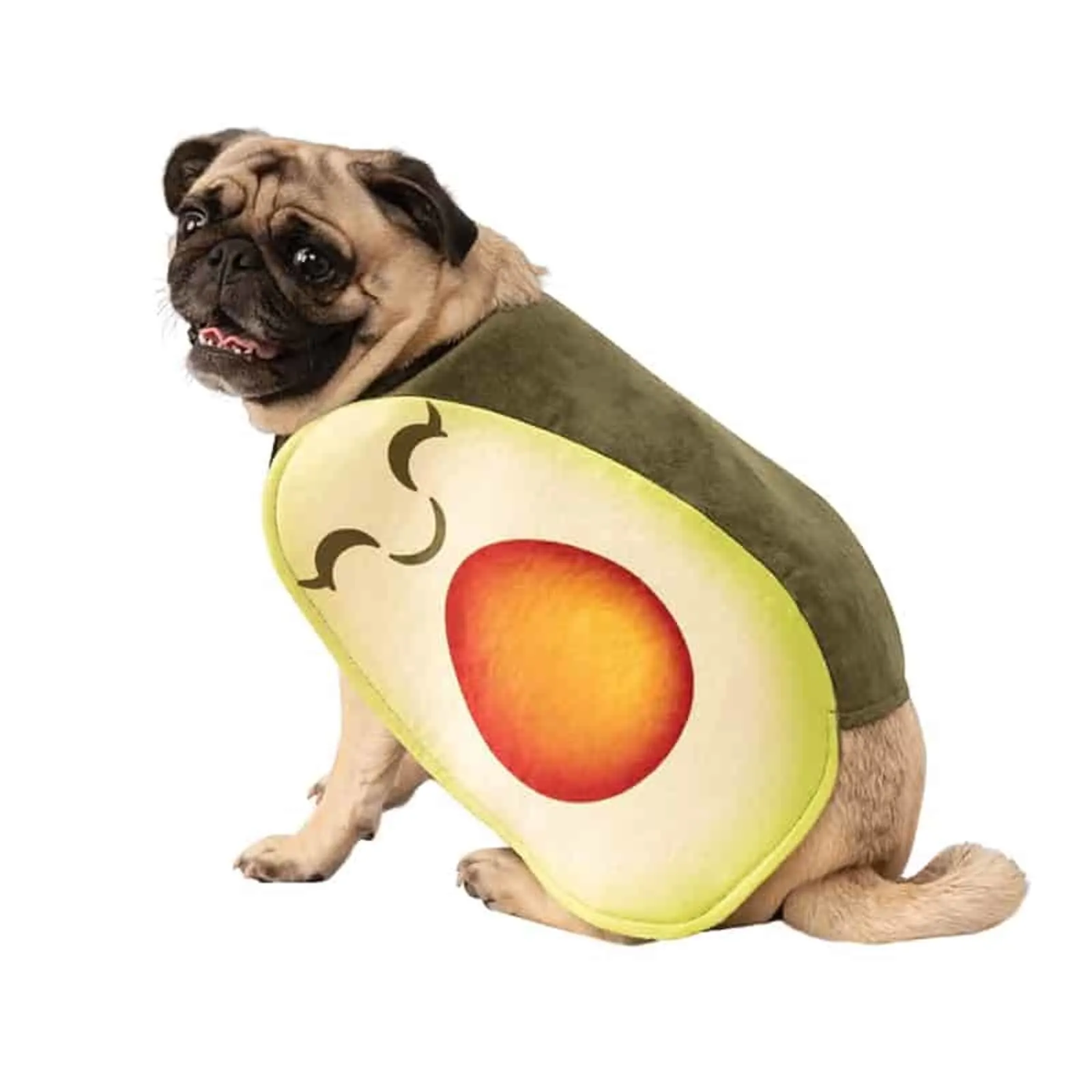 pug wearing avocado costume looking into camera