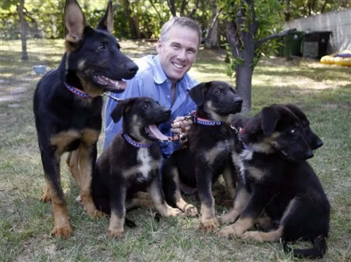 smiling man with dogs