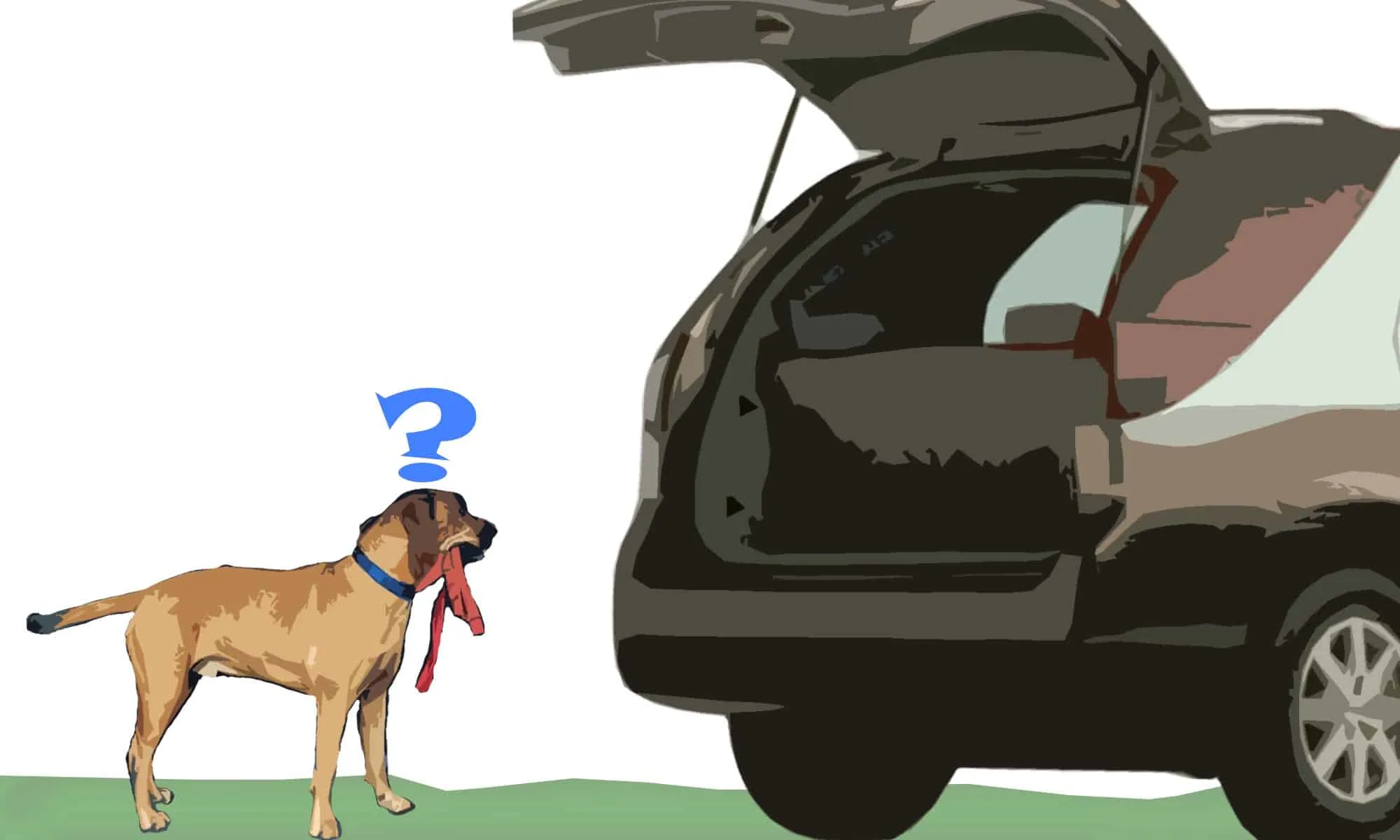 stray dog standing next to a car