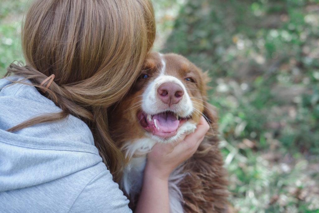 the girl kisses the dog