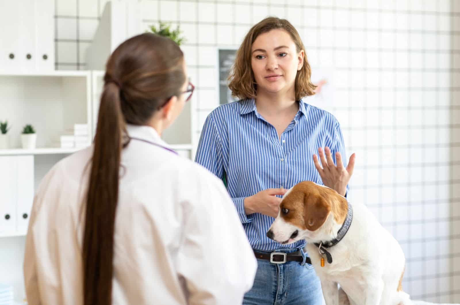 veterinarian and the client with the dog talking about the treatment