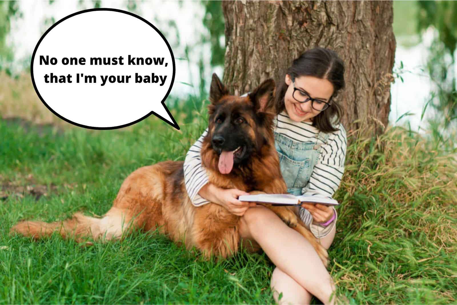 woman hugs her german shepherd while reading