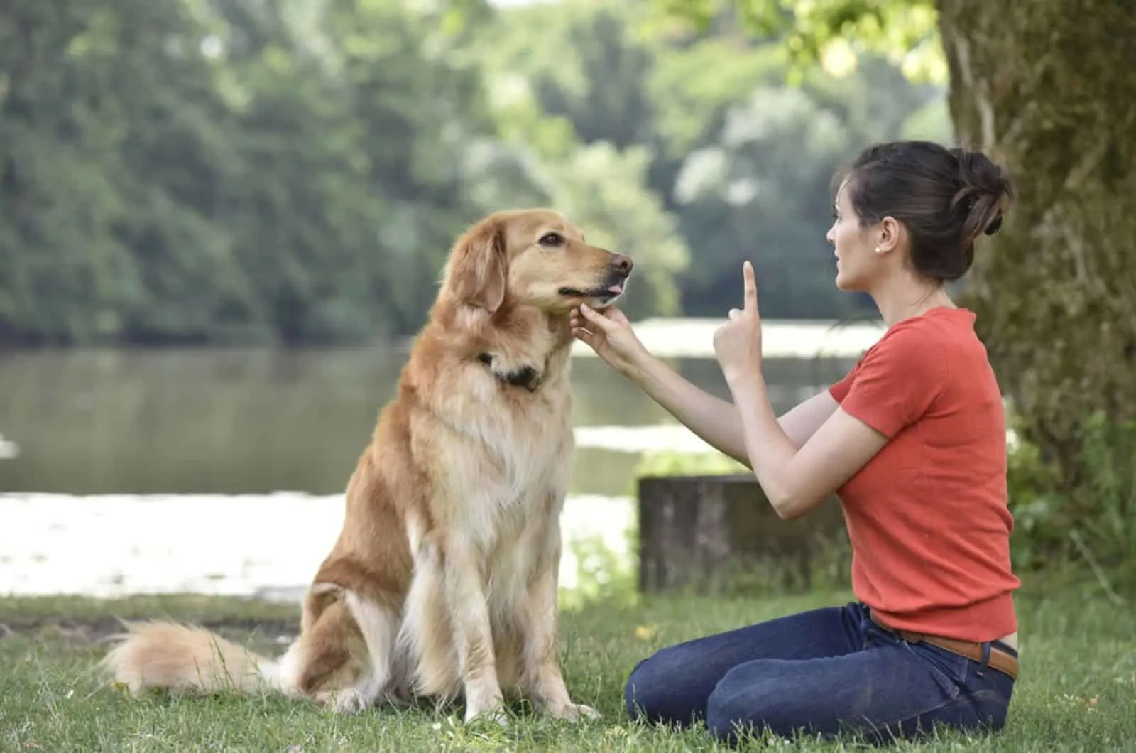 woman training dog in the park