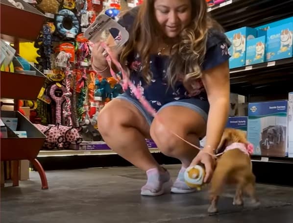 woman with puppy in the store