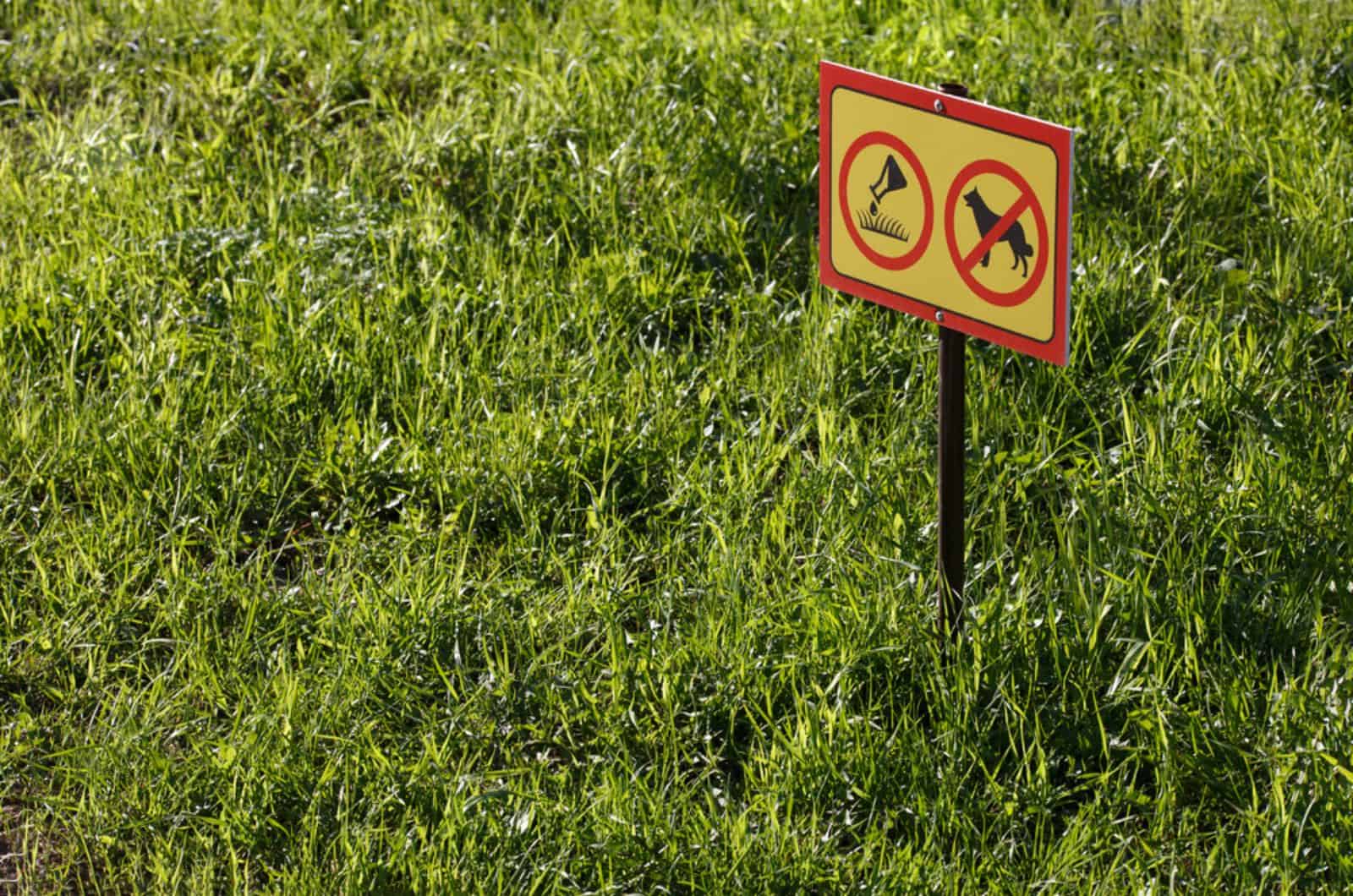 yellow sign with chemical application no dogs on green lawn