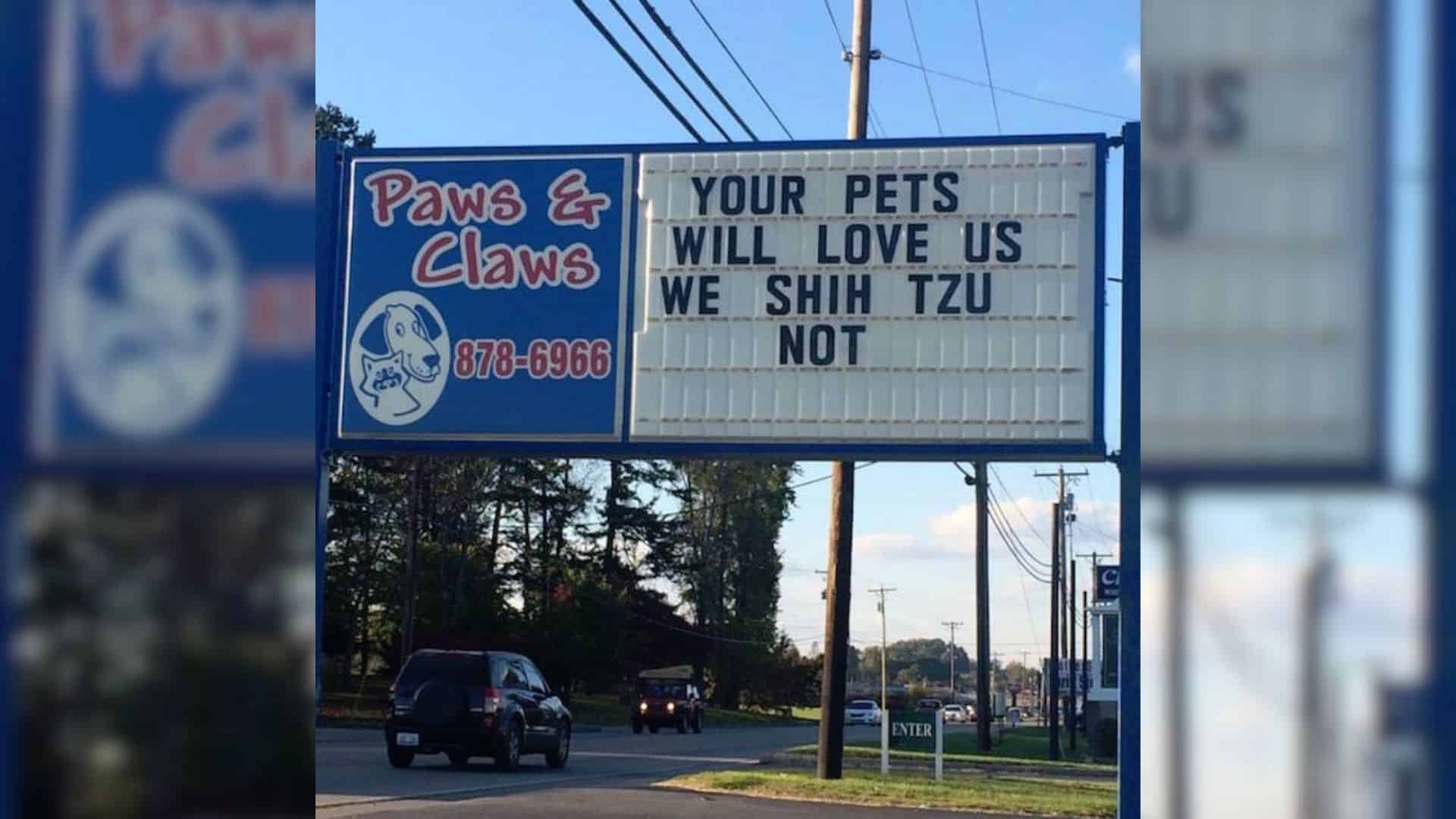 hilarious vet sign