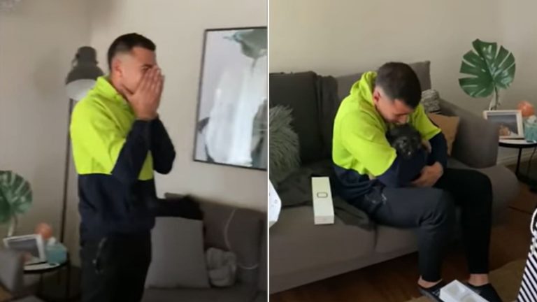 thrilled man receveing a german shepherd puppy