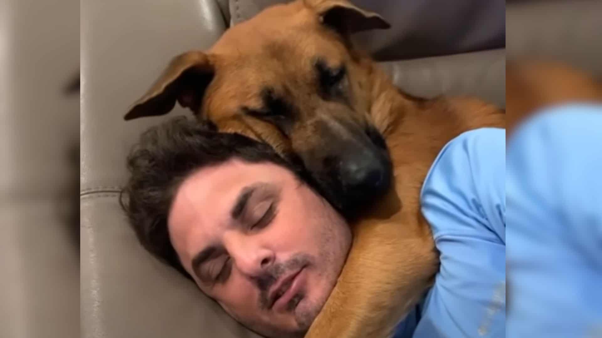 german shepherd hugging man
