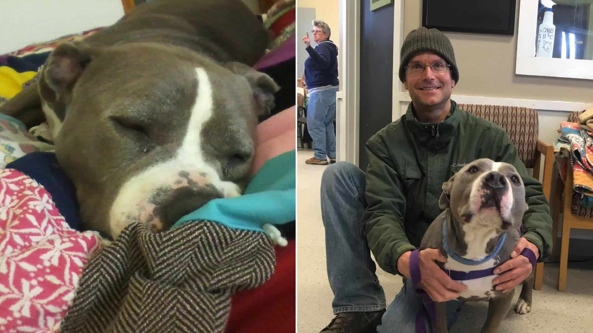 dog from shelter with his new owner