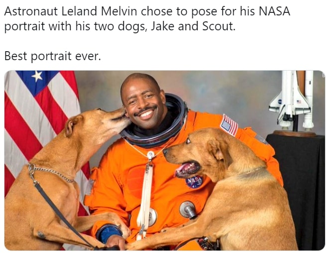 Astronaut brings his dogs to a photoshoot