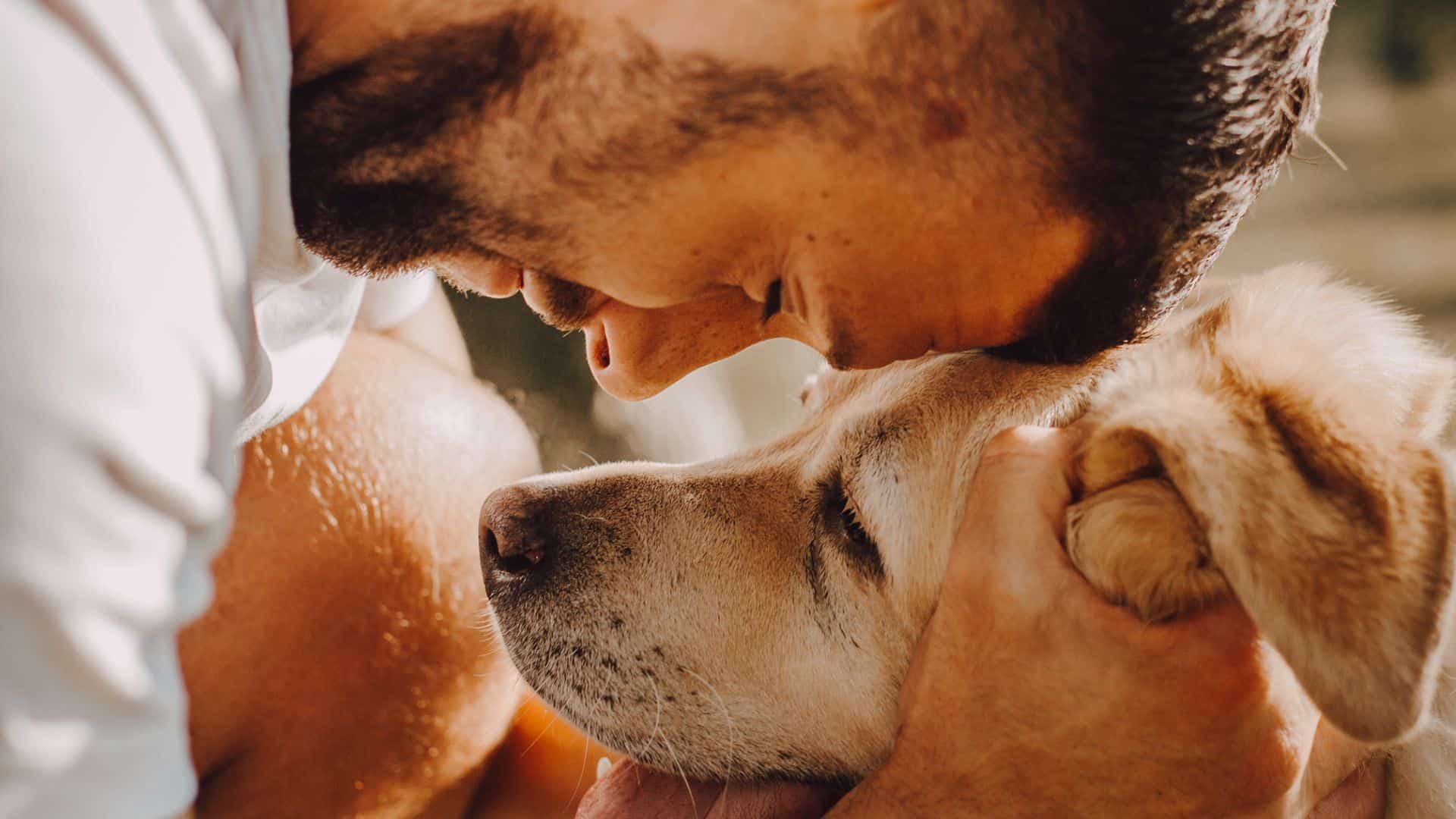 man hugging his dog