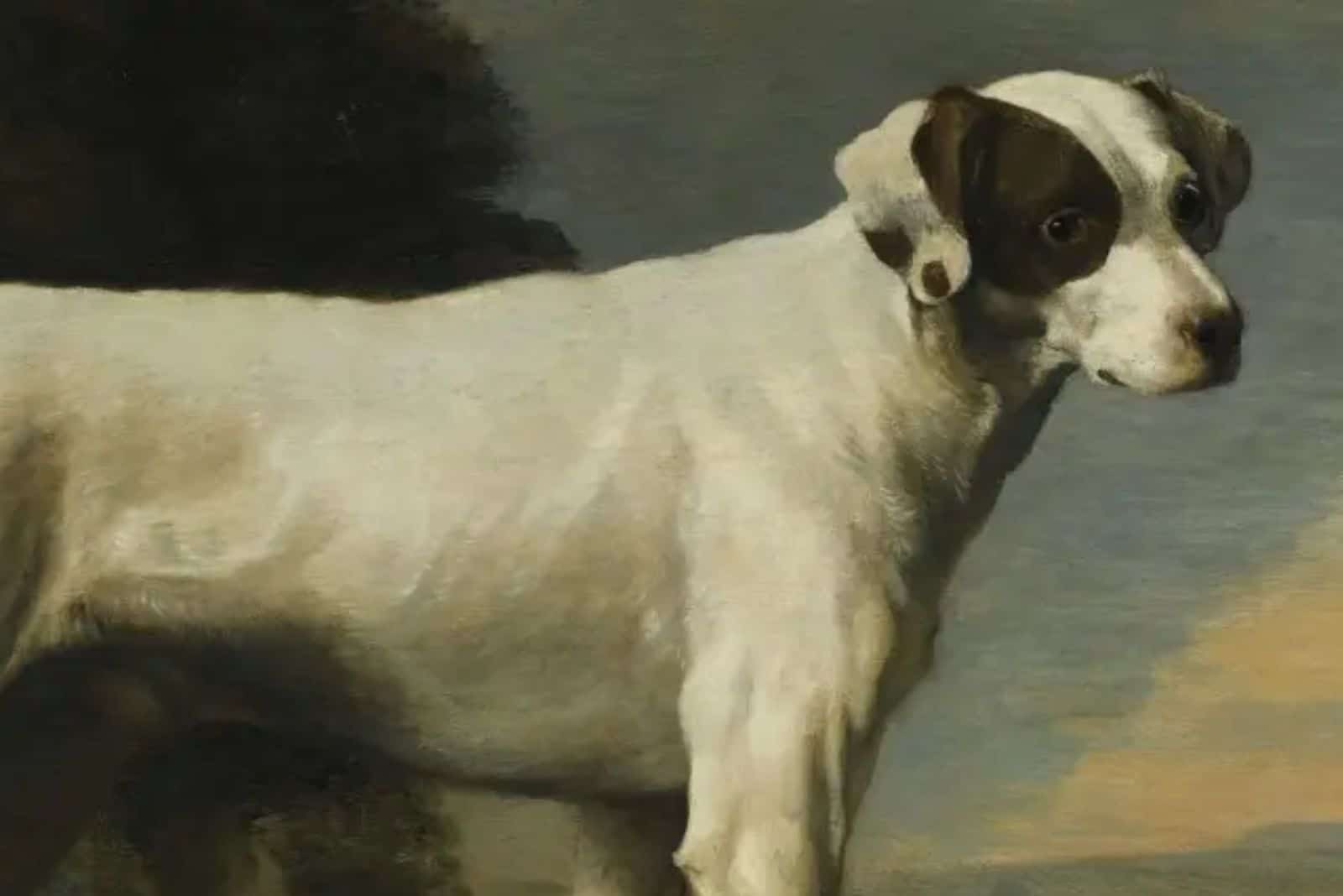 George Washington’s Dogs